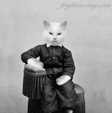 Mixed Media Collage Print, Cat Art, Mr. Puss, Animal Photography, Altered Victorian Photo