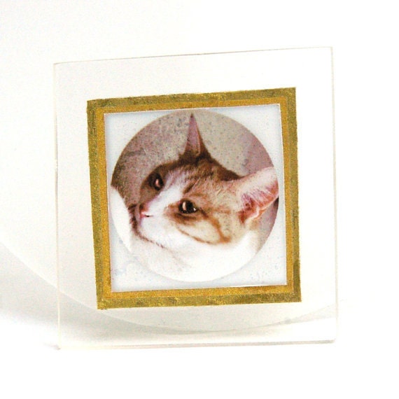 Cat Brooch. Ginger and White. Cat picture perspex brooch. Cat Photo Art. Cat Jewelry .
