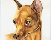 Red miniature pinscher 5x7print from original watercolor painting dog portrait pet portrait home decor  earthspalette