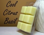 Scented Wax Cubes, Citrus Basil Soy Tart, Candle Melts
