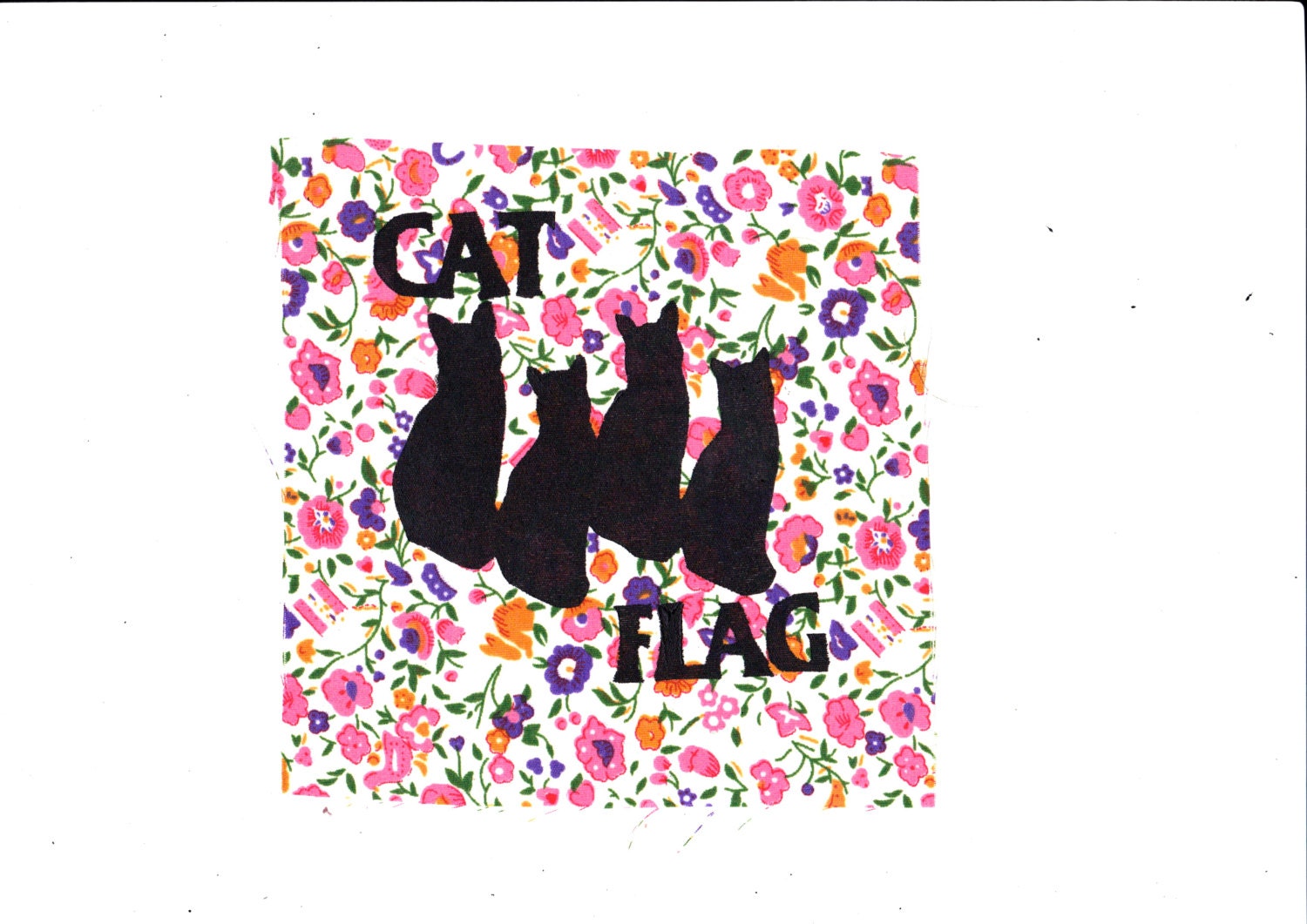 cat flag patch