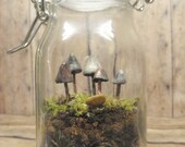The Fungus Amoung Us... Terrarium Kit With Miniature Glow in the Dark Mushrooms, Live moss terrarium Kit Handmade By Gypsy Raku