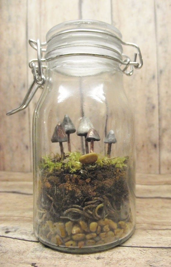 The Fungus Amoung Us... Terrarium Kit With Miniature Glow in the Dark Mushrooms, Live moss terrarium Kit Handmade By Gypsy Raku