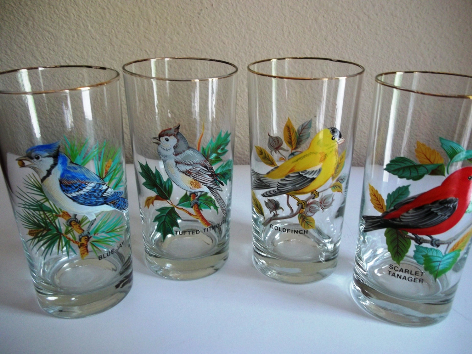 Set of 4 Vintage Song Bird Drinking Glasses