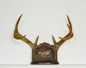 Copper Bookend Metal Book End - Cottage Cabin Farmhouse Rustic Primitive - 1920's-30's- Patina