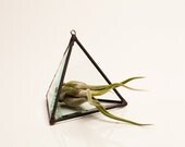 3.5 inch Triangle Geometric Stained Glass Air Plant Terrarium - amyburgessjewelry