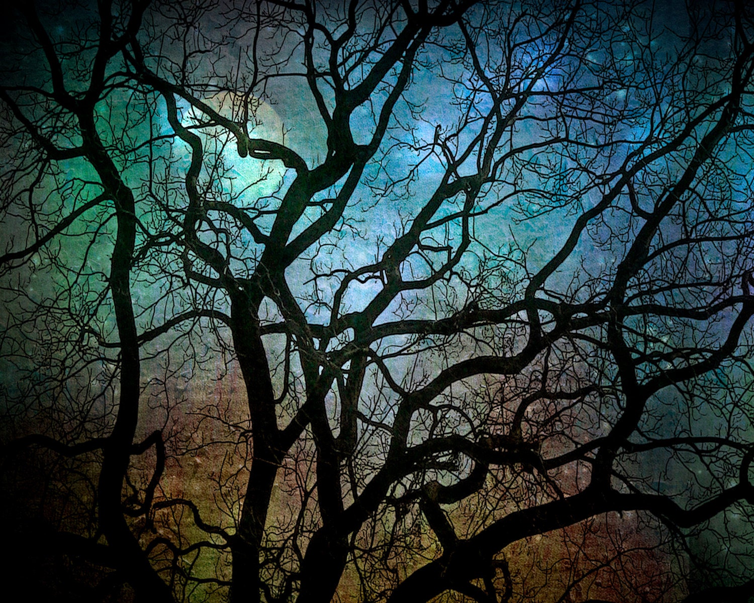 Nature Photography, teal, black tree branches, winter home decor, night sky, Blue Moon Over Philadelphia fine art photography print 8x10 - moonlightphotography