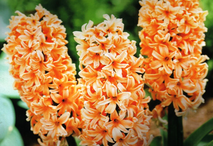 Unavailable Listing on Etsy