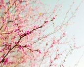 Blossoming Trees, Light Blue Wall Art, Mint, Pink, Spring, Blossom Wall Art,  Purple, Pastel Photograph, Tree Decor, 8x10 Photography - BreeMadden