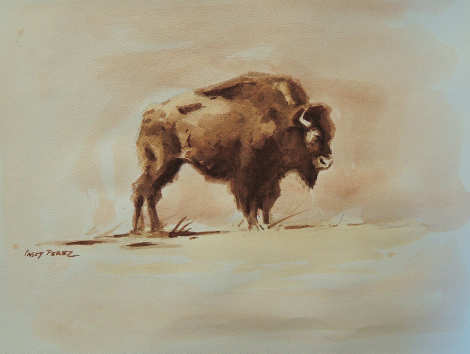 Original Bison Watercolor Painting 9x12 By BohemianBacchante