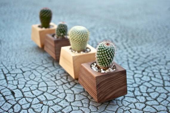 Boxcar Planters - single Walnut or Ash