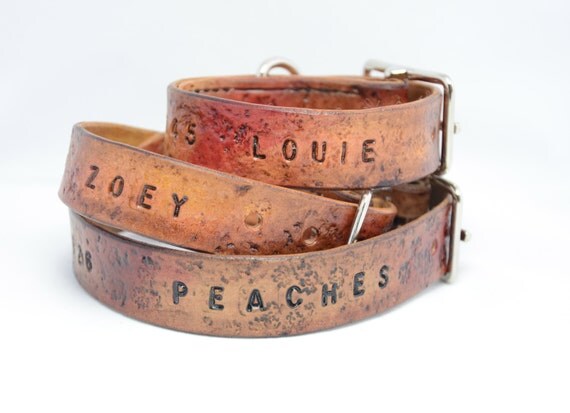 personalized puppy collars personalized collars deals on 1001 blocks personalized puppy collars personalized collars deals on 1001 blocks