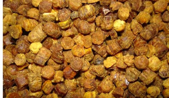 bee bread better than bee pollen fermented superfood by bee bread better than bee pollen fermented superfood by
