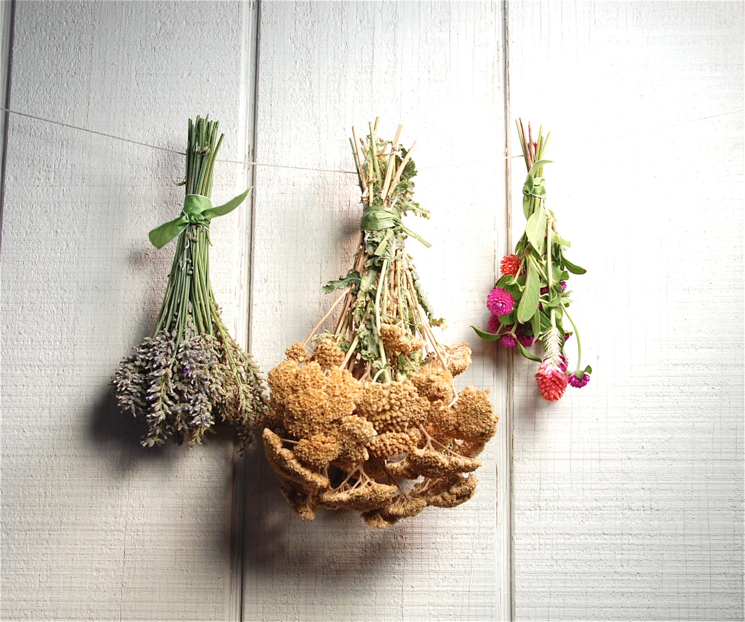 Everlastings, Bouquet, Farm House, Rustic, Harvest, Cottage Chic, Photography - SamieSam