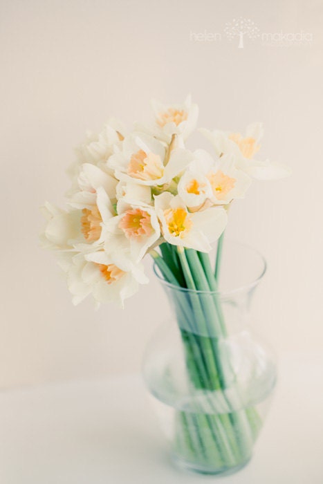 Irish Daffodils in Glass Vase, Cream, Yellow, Green, Romantic Art, Home Decor, Fine Art, Flower Photo, 4x6 Print - HelenMPhotography