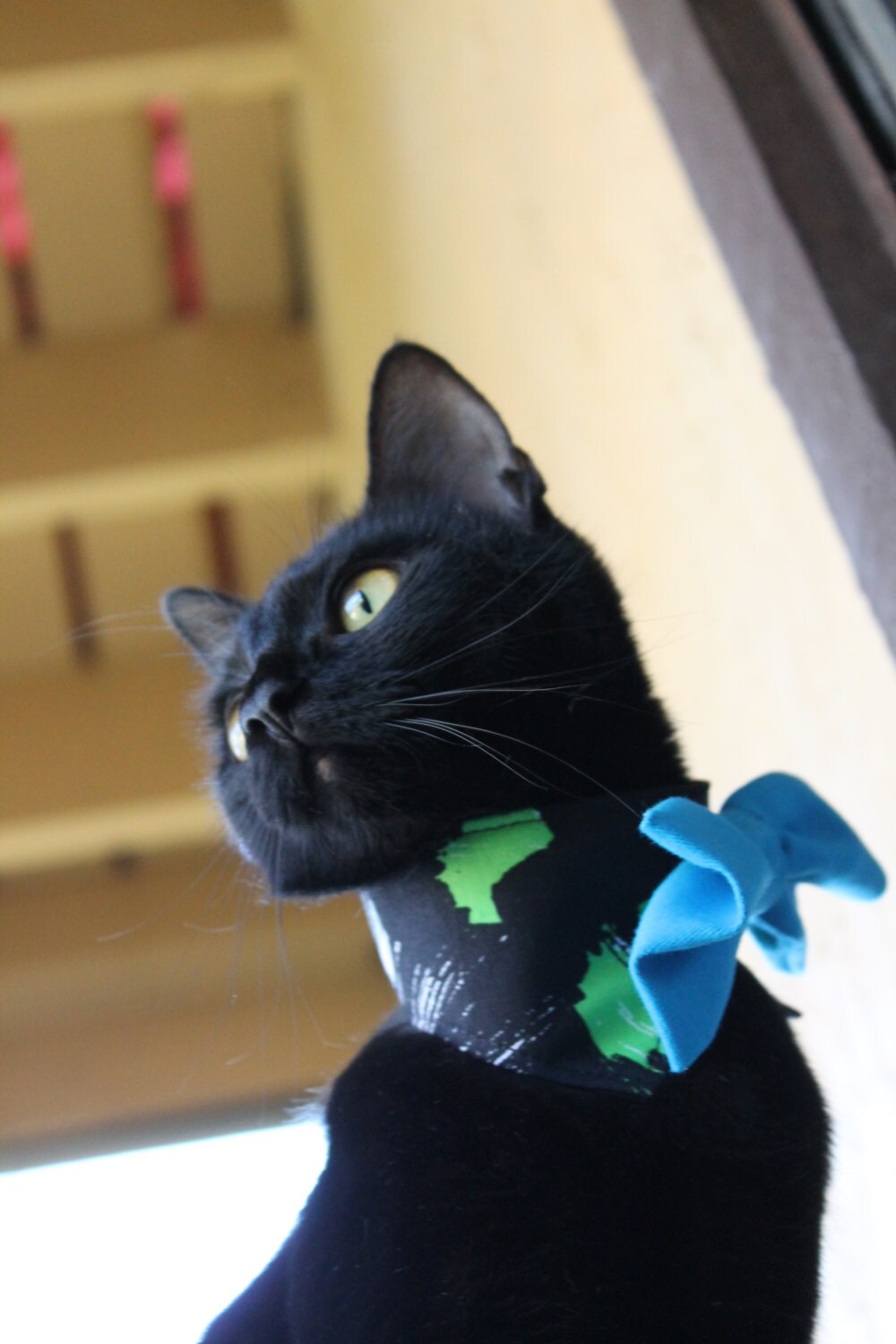 Aqua Cat Collar Bow Tie with Black White Teal and by gatinela