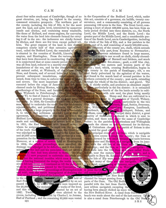 Moped Meerkat Pink Art Print Digital Illustration Drawing Poster Digital Print Wall Art Wall Hanging Digital poster