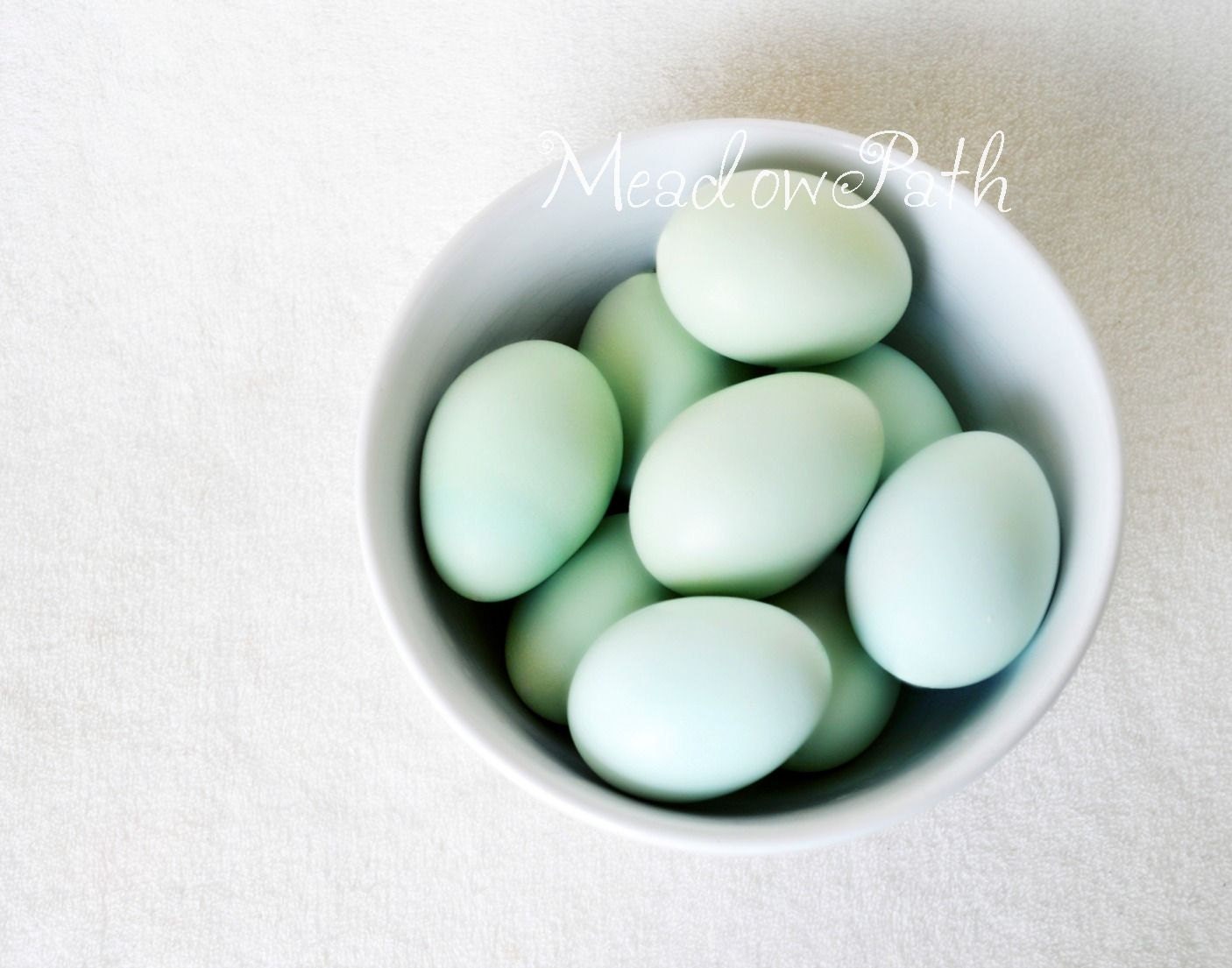 Kitchen Art, Blue Eggs, White Ceramic Bowl, Still Life, 11x14, 'Love Sincere' - MeadowPath