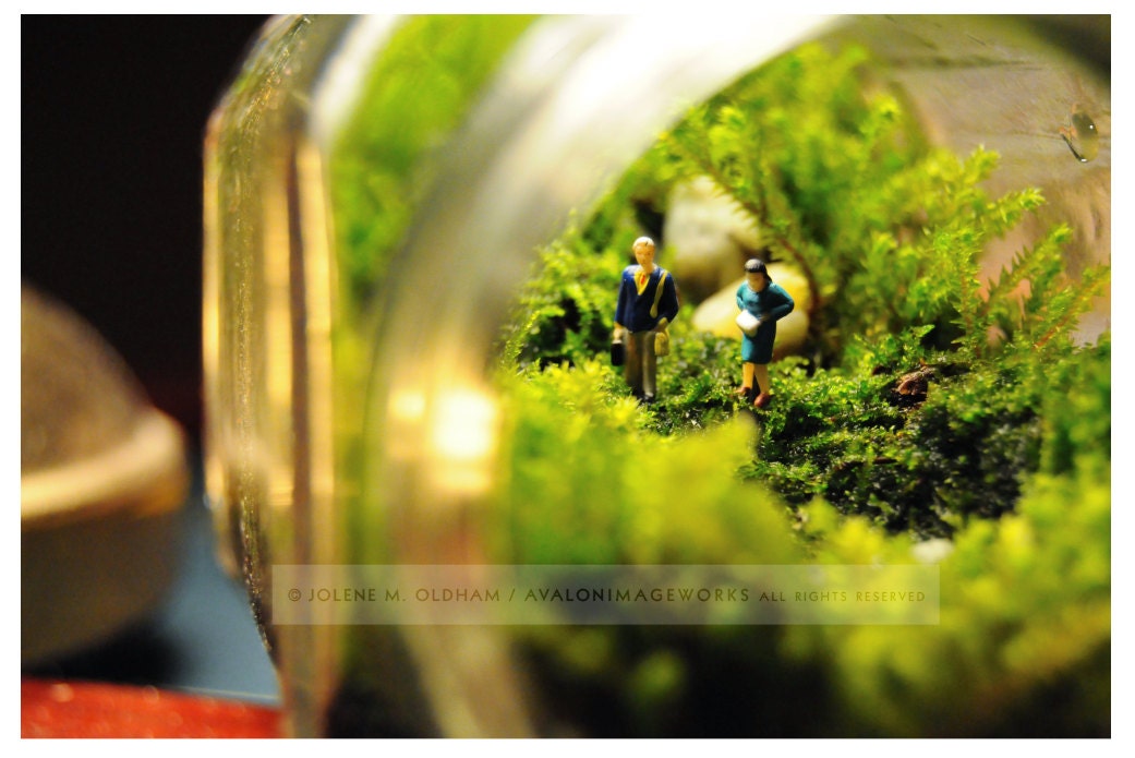 Tiny Drama 1: The Missing Keys Photo Print