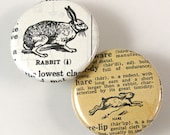 Rabbit Pinback Button Set