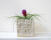 Spring Cube planter - perfect for cuttings, succulent or cactus