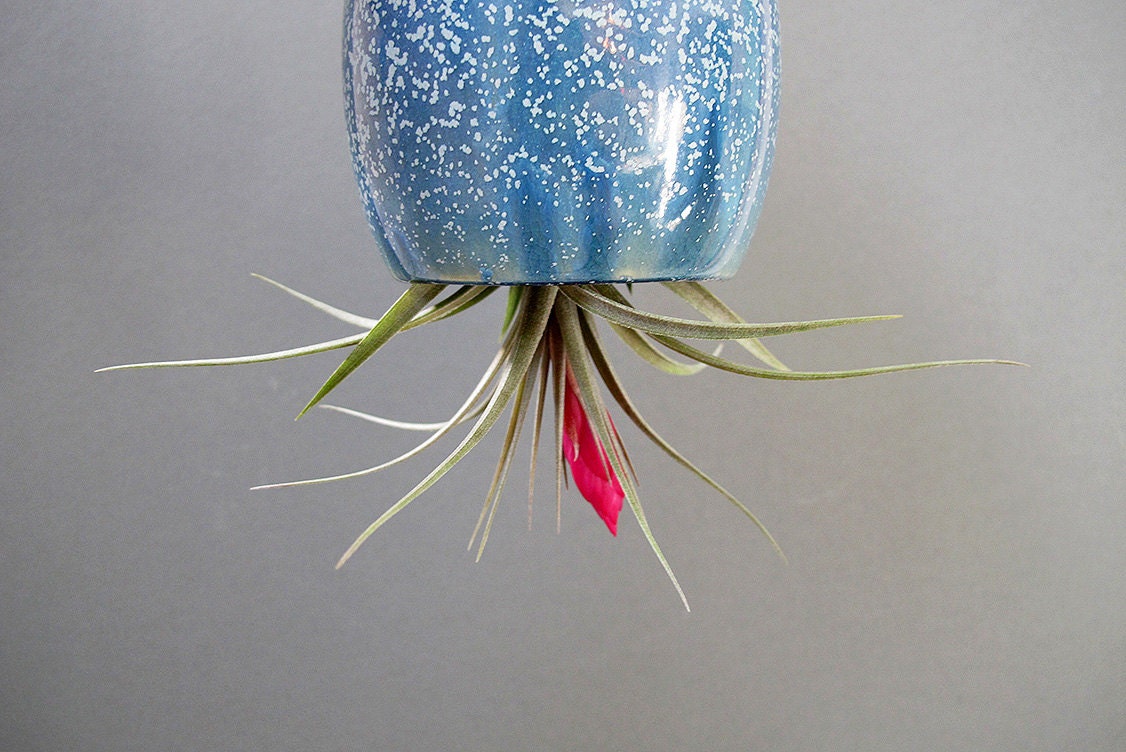 LARGE hanging air plant pod planter vase - Stunning Ice Blue