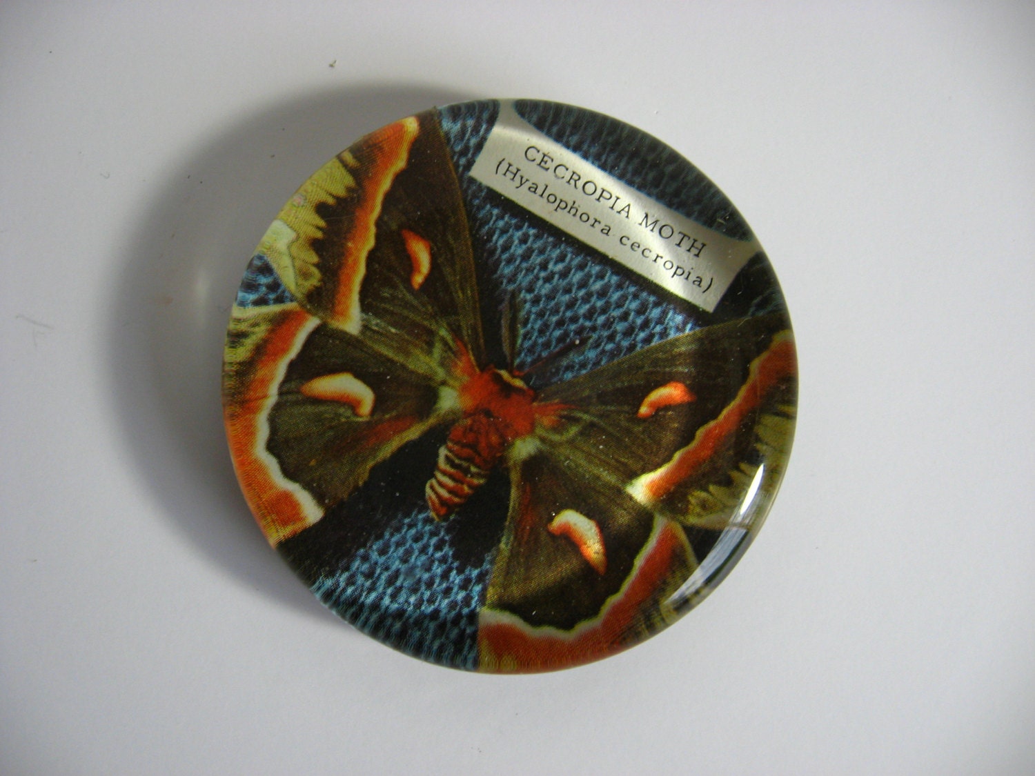 Jumbo Super Strong Magnet