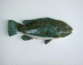 Tautog Ceramic fish art decorative wall hanging