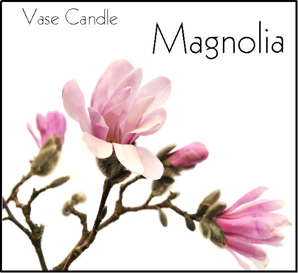 Magnolia Candle Refill for Vase Candle