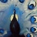 PEACOCK Painting ORIGINAL Blue Ivory White Peacock Art - LARGE Oil Painting on Canvas 40x24 by BenWill