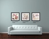 Fine Art Photography 3 8x8 Prints Kansas Spring Blooms, Modern Wall Decor, Home Decor