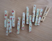 SALE - Trendy Clothespin Clips - Country Wild Flowers - Set of 12