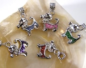 Little Doggy Dog Puppy European Charms Mixed Colors Large Hole - 5 pieces - SALE