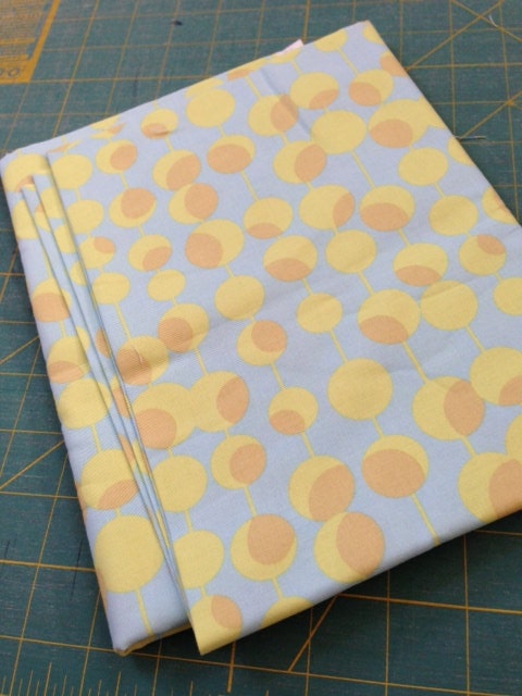 Amy Butler Midwest Modern fabric 1yd
