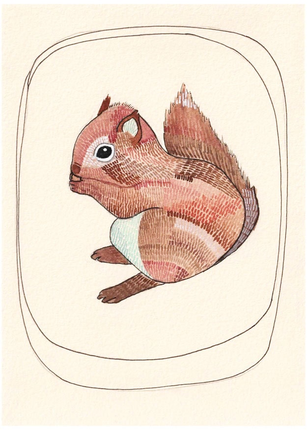 Squirrel Art / Illustration / Watercolor / Art Print / 5x7 - Oh Little Squirrel
