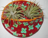 Handmade Wall Pocket Red Orange Blue Yellow Floral OOAK Moss Dried Flowers Tillandsia  Air Plants Match Holder  BIG SALE