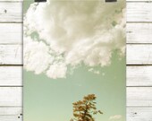 landscape photography, clouds, tree, modern home decor, large wall art, minimalist landscape - "Head in the Clouds" - 8x10 print