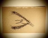 Original Drawing - Rabbit with Wings