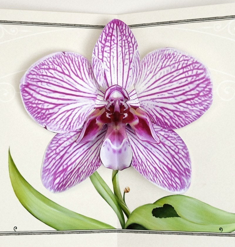 purple orchid flower pop up card