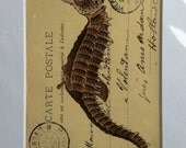 Nautical,  Sea Horse, Print, Vintage Postcards,  Advertisment