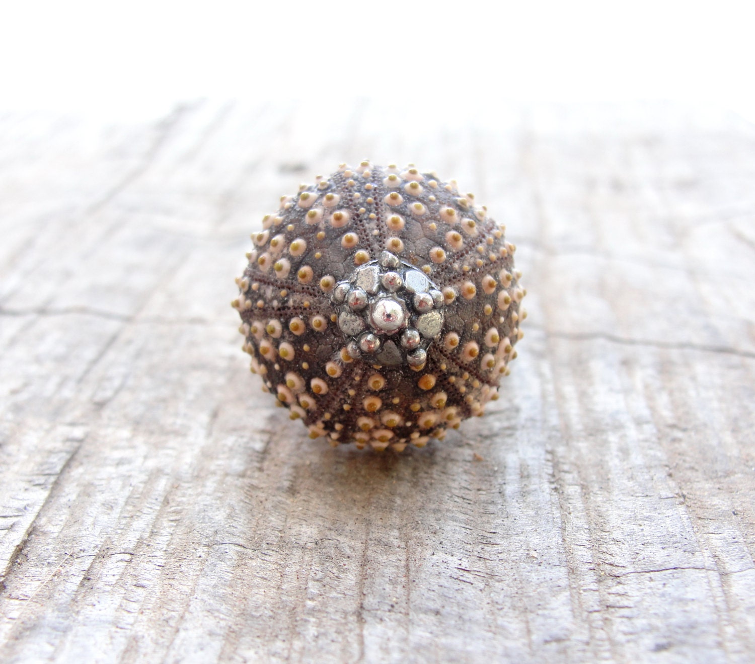 Sea Urchin Ring Sterling Silver Brown Sultan Ring