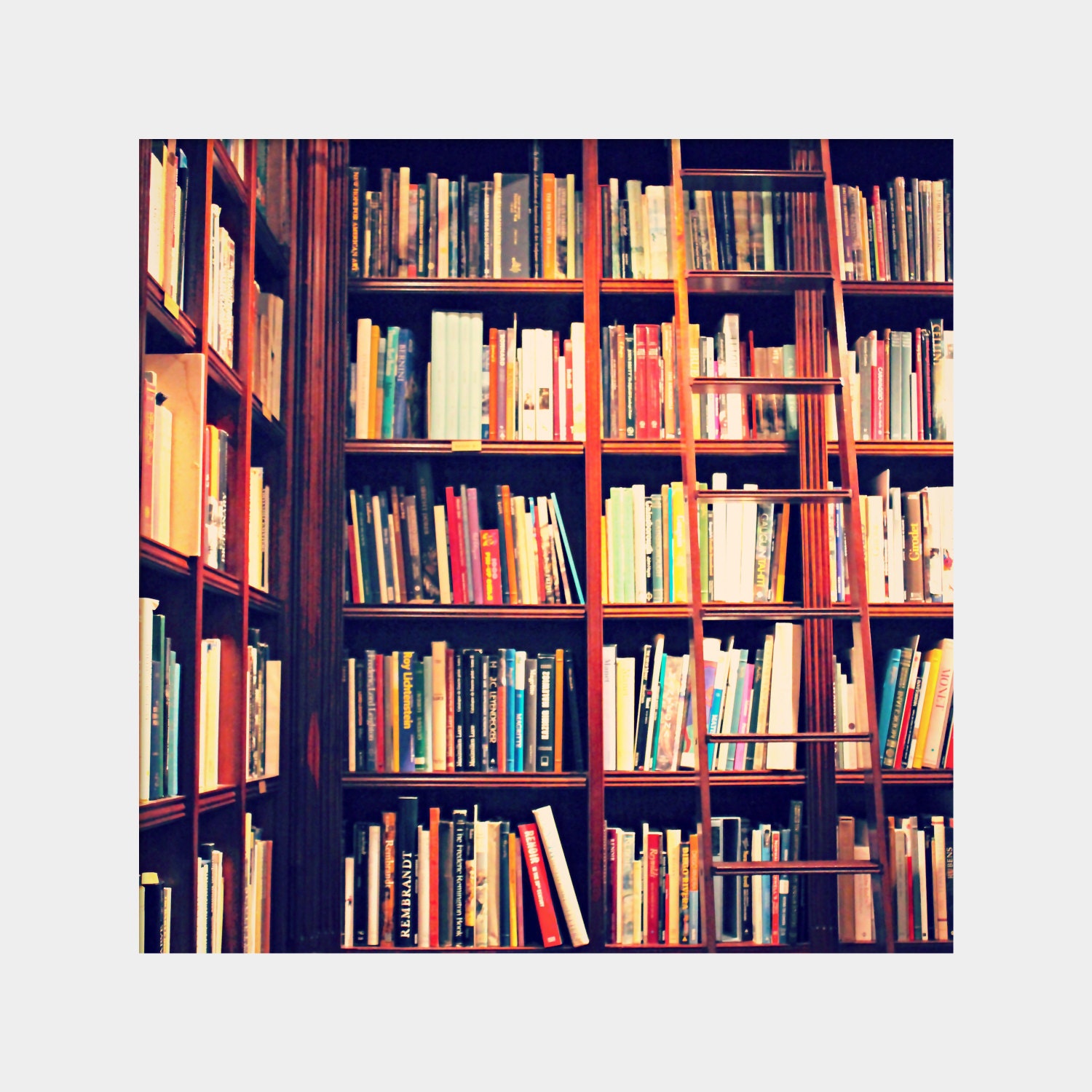 Dream Library: square fine art photograph print with books, bookshelves, ladder (colorful home library decor)