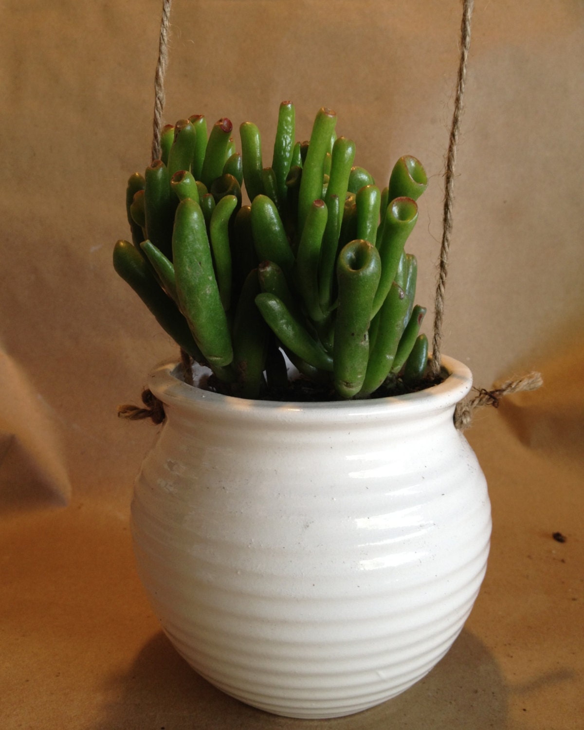 Hanging Pot Planter