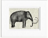 wooly mammoth II - printed on page from vintage dictionary