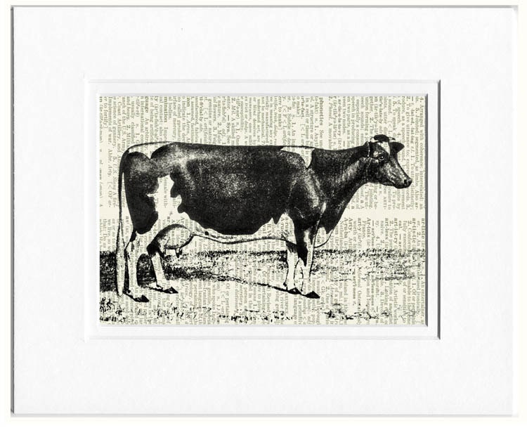 cow - sweet vintage cow artwork  - printed on old dictionary page
