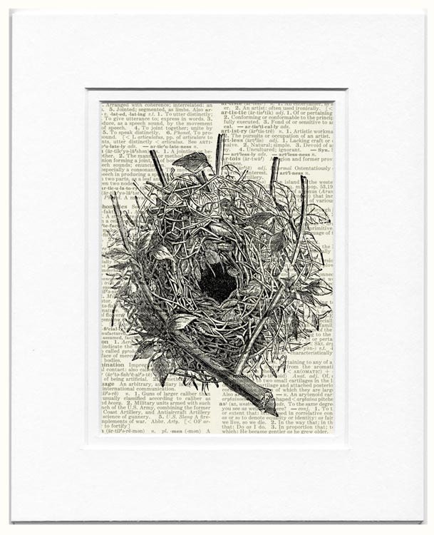 bird nest IV - vintage artwork printed on page from old dictionary