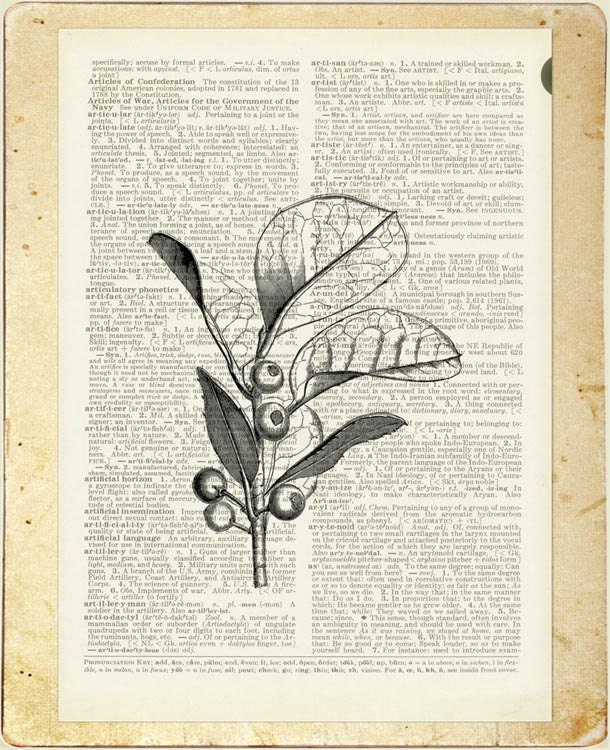 18oo's wood engraving - evergreen tree - printed on vintage book page