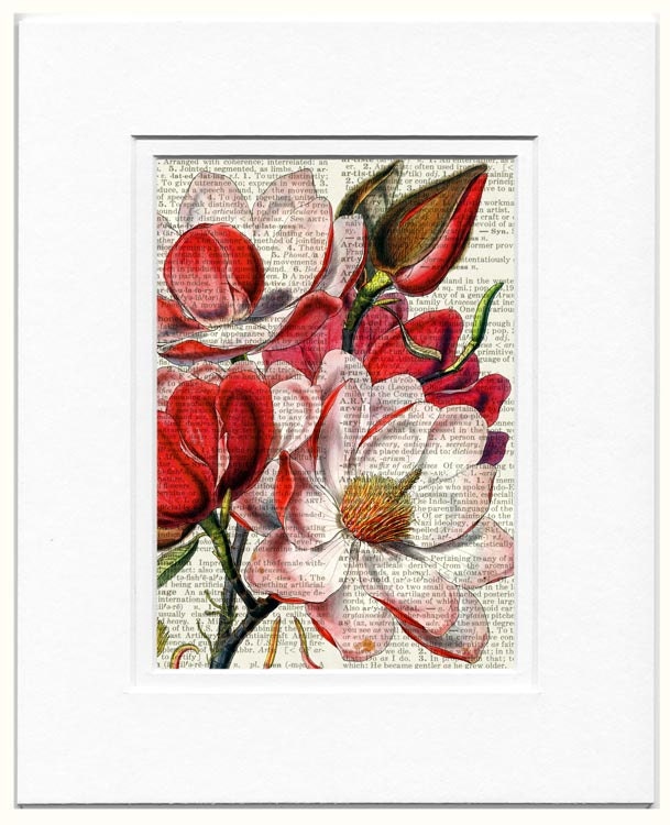 vintage magnolia artwork printed on page from old dictionary