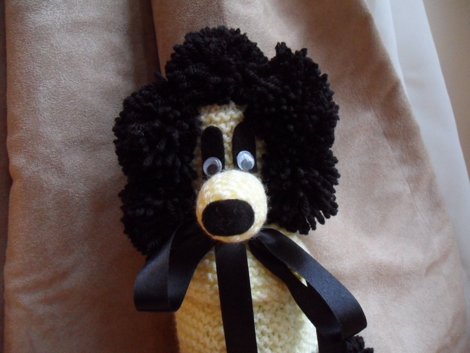 Ernest the lemon and black Gin Poodle with a black ribbon bow collar