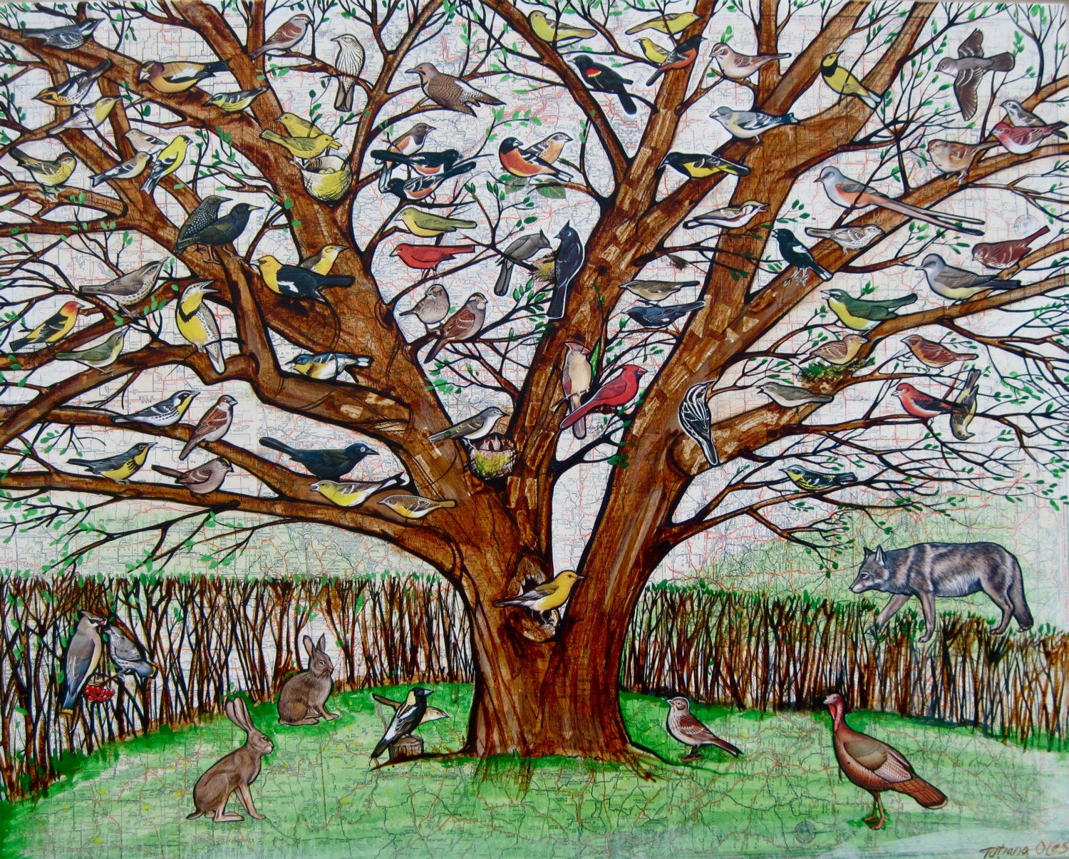 Tree with Birds/ Animals / Nature / Wall Art / Map / Room Decor / Art Print - tatianaflor